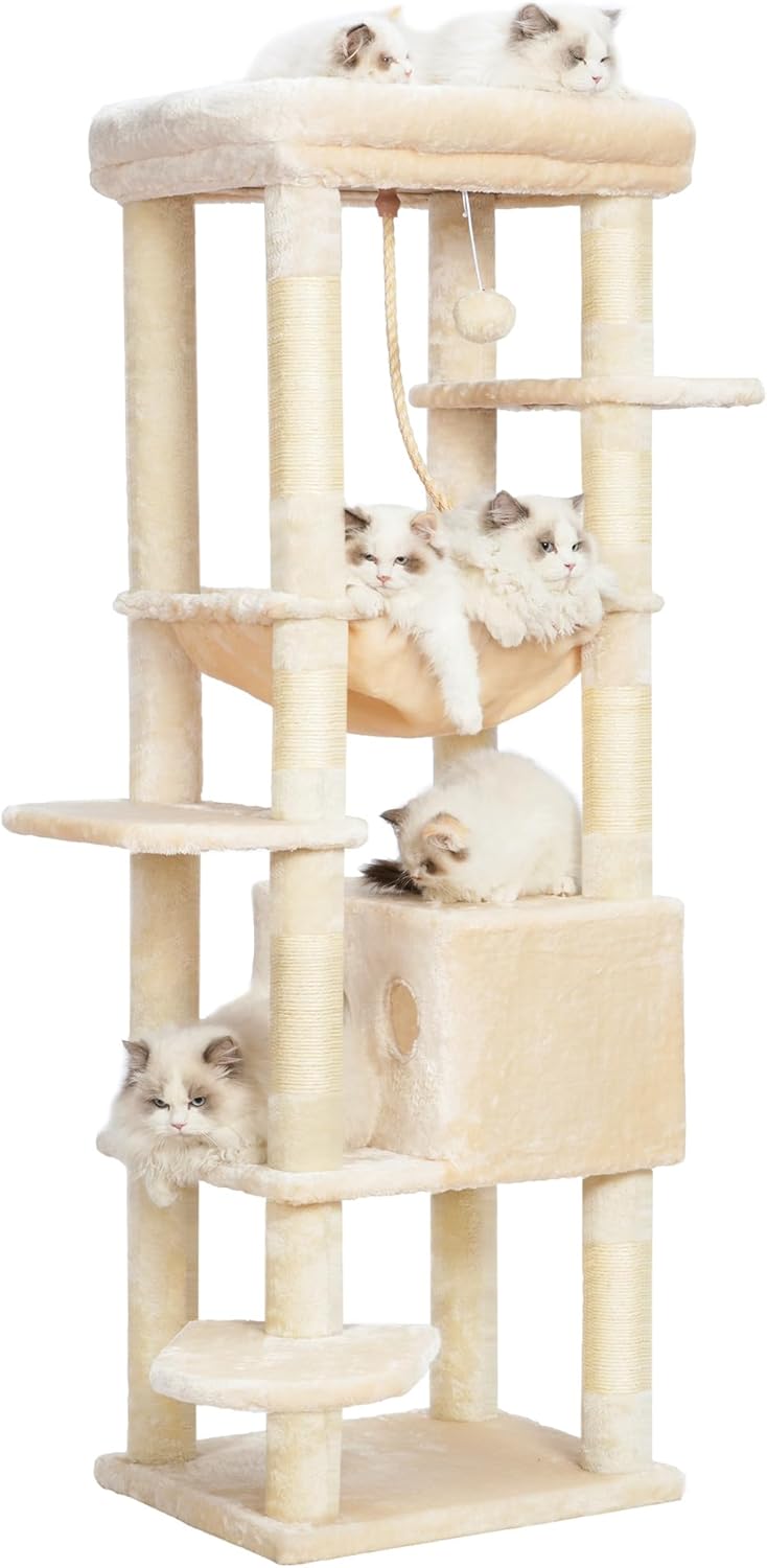 大村佳孝 MEOWTAL INITIATION スタジャン 猫 はちわれ あくありうむ